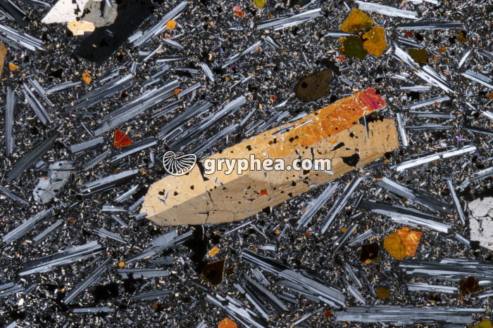 Basalte demi-deuil LPA x3 - gryphea.org